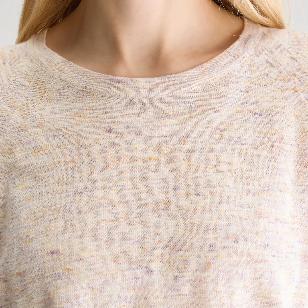 Anogy Regular Sweater (Combo C)
