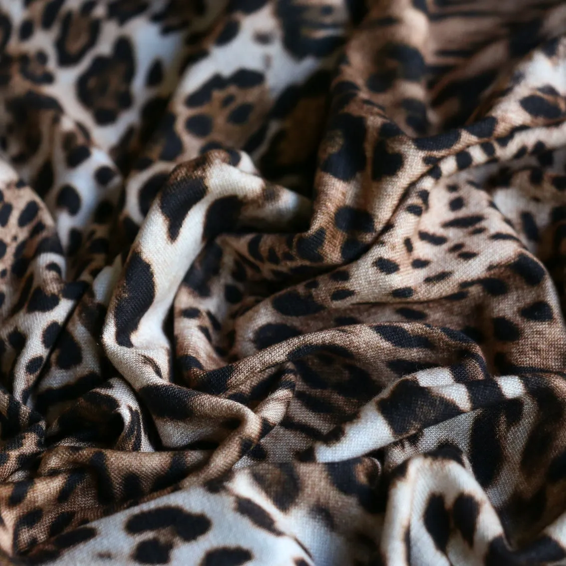 Gatto Cocoa Jersey